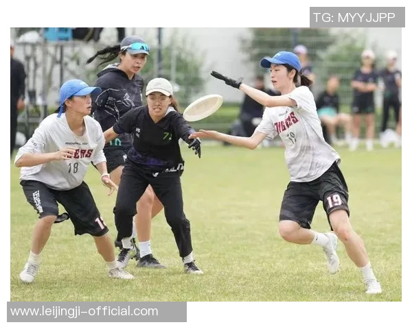 陈伟独家分享飞盘技巧与心得体会助你提升飞盘水平的实用指南